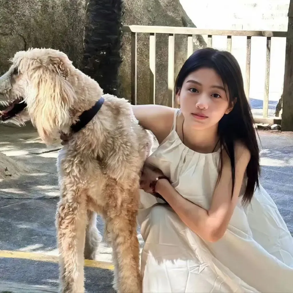 最好看的2019中文